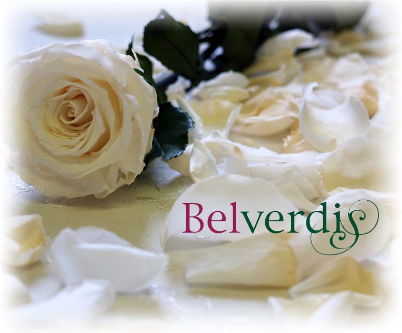 white petals with amorosa1